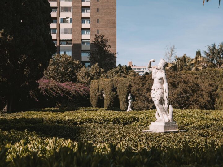 Citt Plantagenet