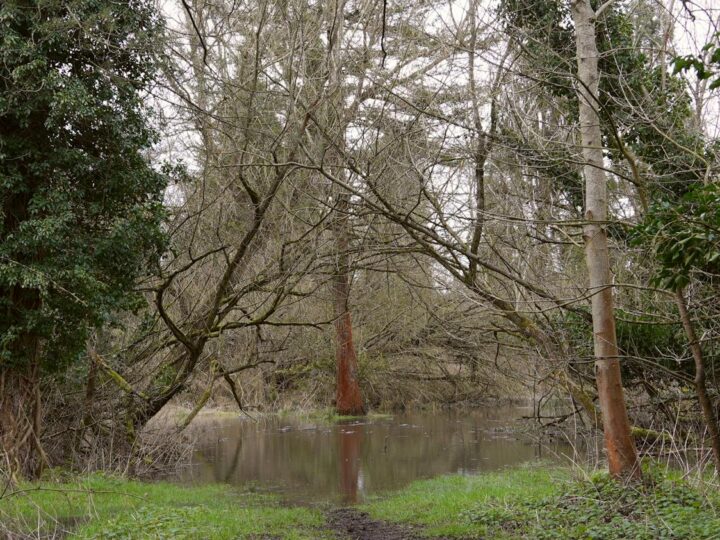 Rickmansworth Aquadrome