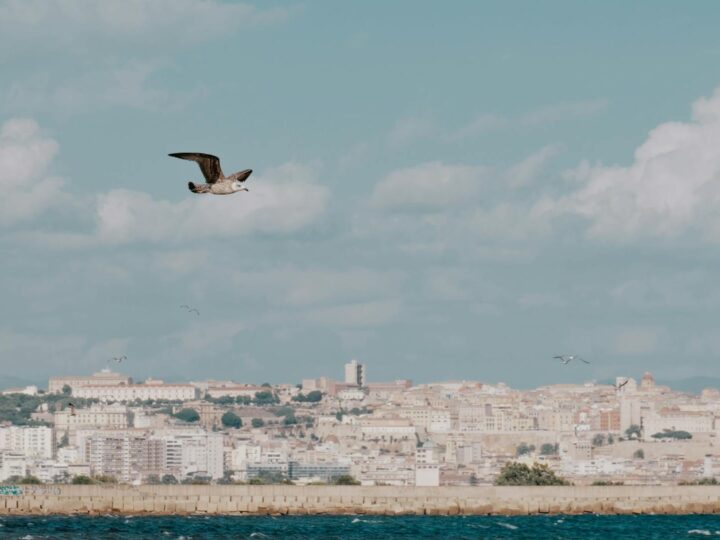 Магазин RINASCENTE Cagliari