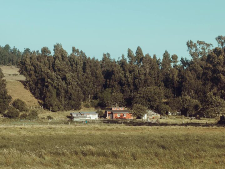 Parque de Saavedra