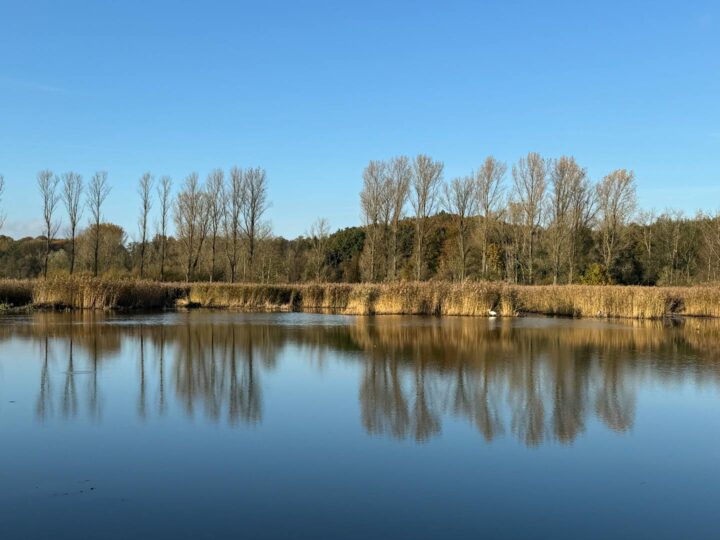 Saltwell Park