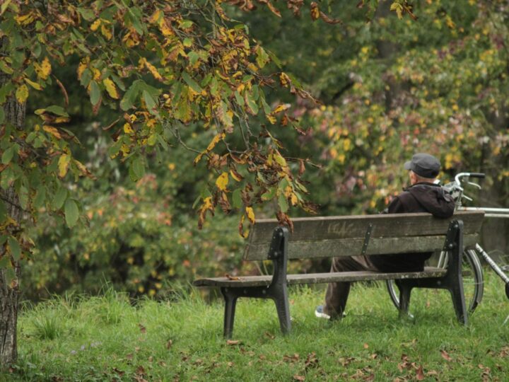 Saltwell Park