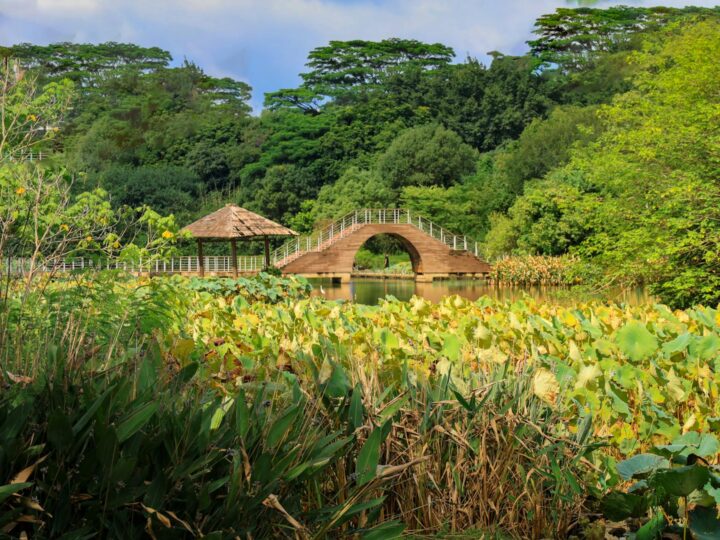 Saltwell Park