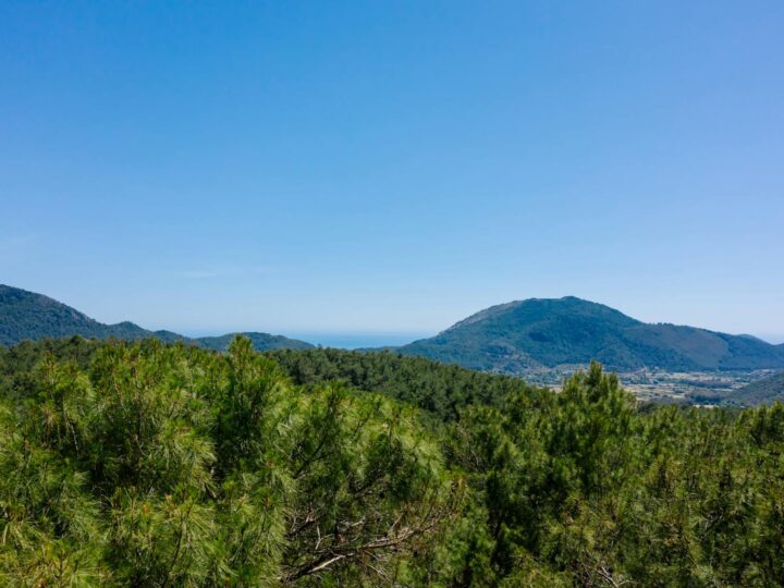 Santuario prenuragico Monte dAccoddi  Taquilla