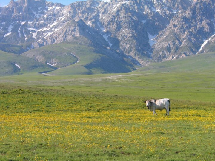 сторя Календаря