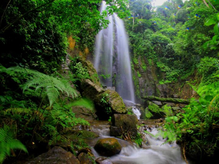 Naturpark Oberes MuresTal