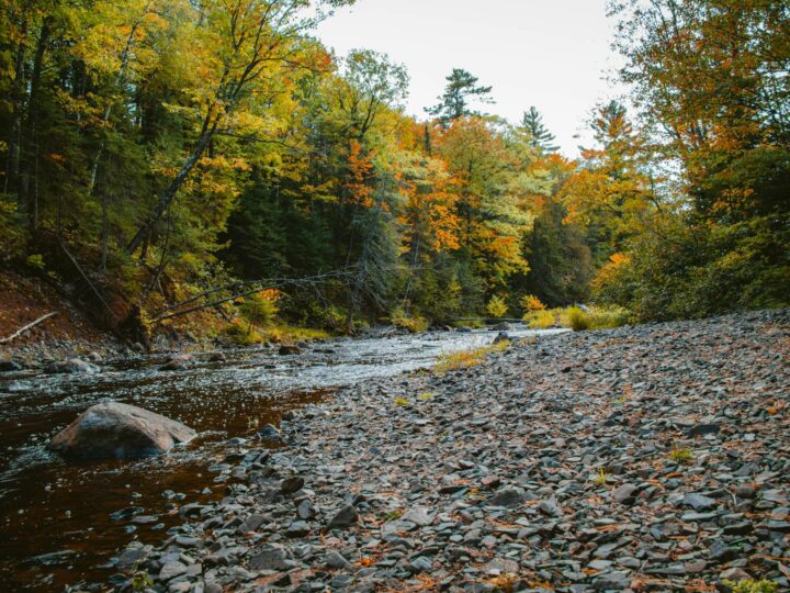 Naturpark Oberes MuresTal