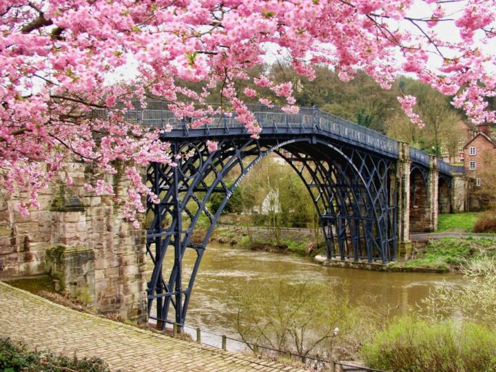 Parque de la ciudad de Telford
