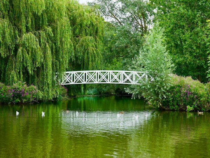 Teston Bridge Country Park