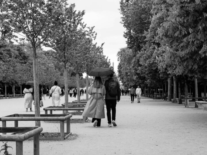 Le Jardin des Chiens