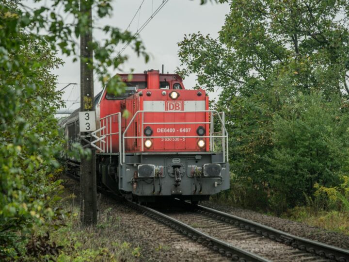 El Pequeo Tren de Perpin