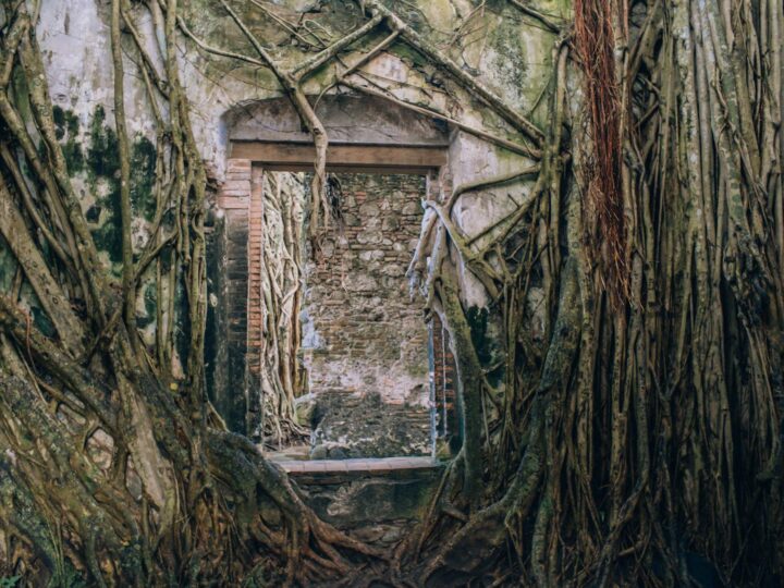The Old Farmhouse