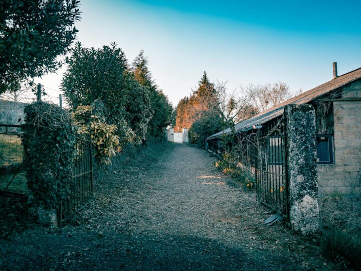 The Old Farmhouse