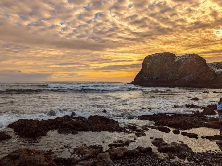 La Plage Newport