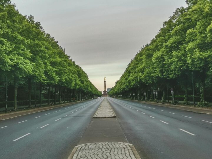 Tiergarten Ulm