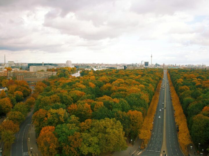 Tiergarten Ulm