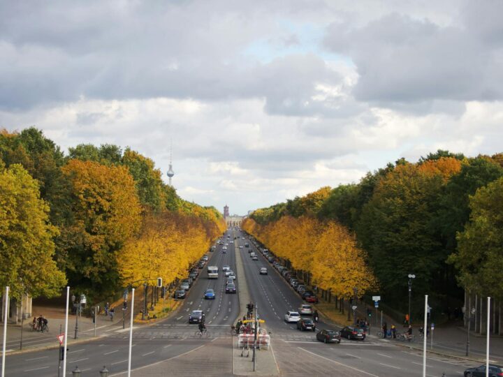 Tiergarten Ulm