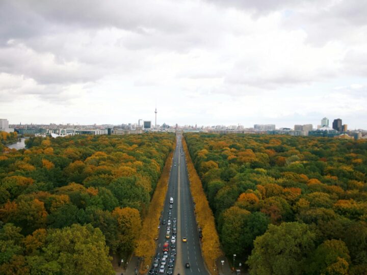 Tiergarten Ulm