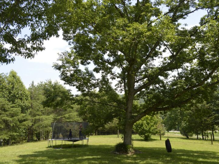 Parque de trampolines