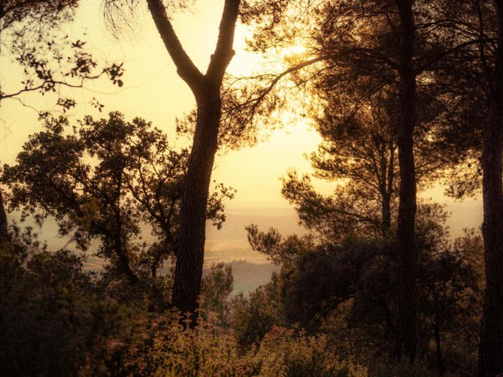 Vitam Parc