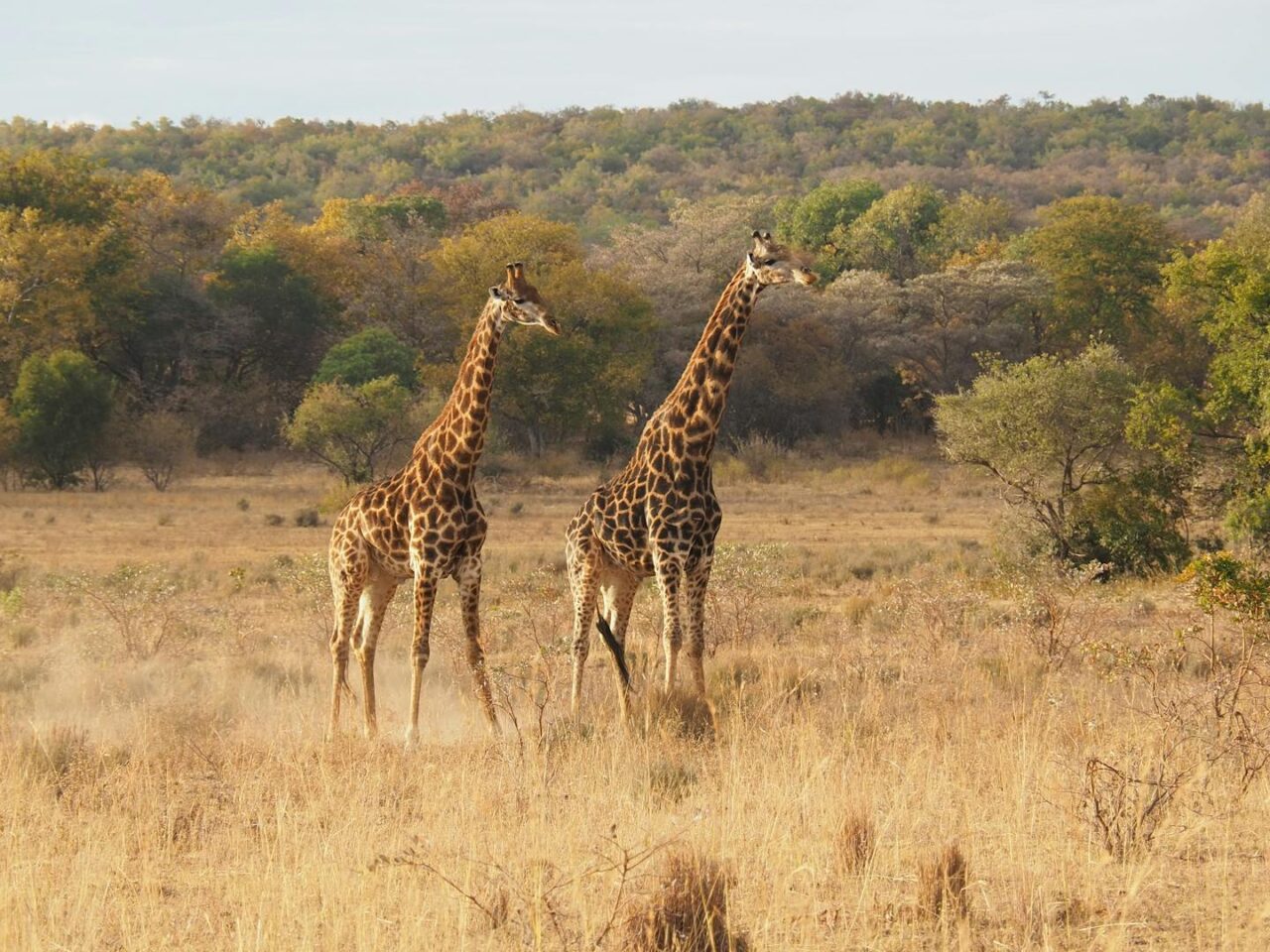 The 5 Best Things to Do in IJmuiden - 2025 - TryTravel