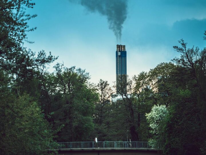 Zamek w rebro