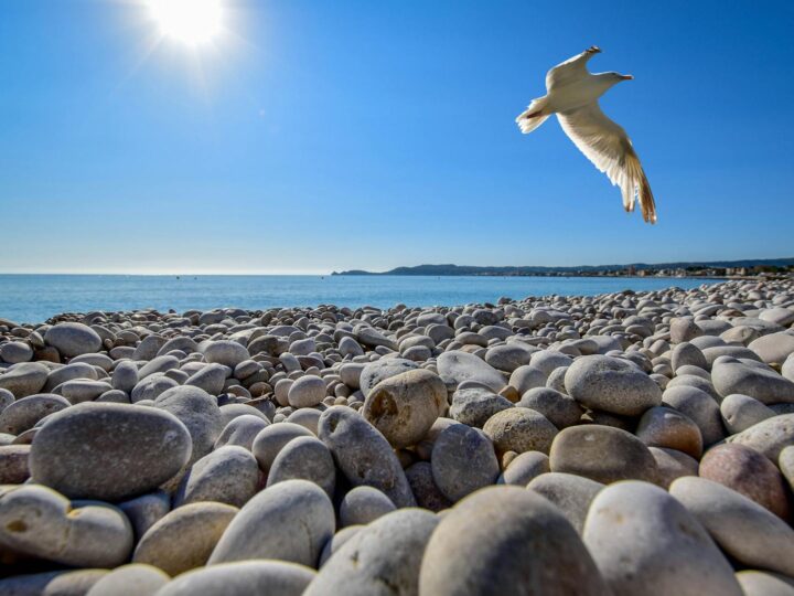 Baia Flaminia