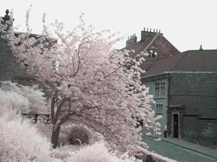 BeauxArts Mons