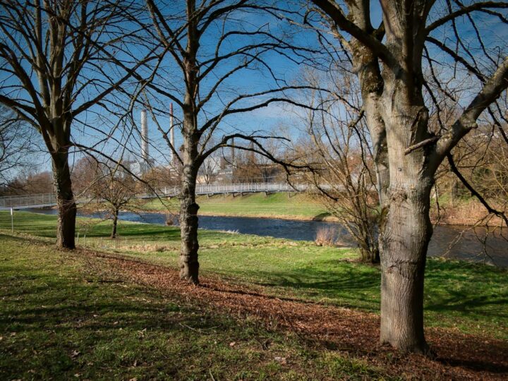 Boultham Park
