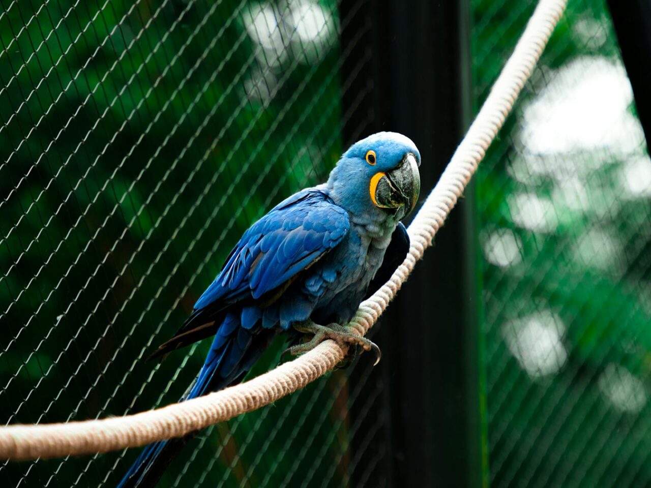 Las 13 mejores cosas que hacer en Arnhem - 2025 - TryTravel