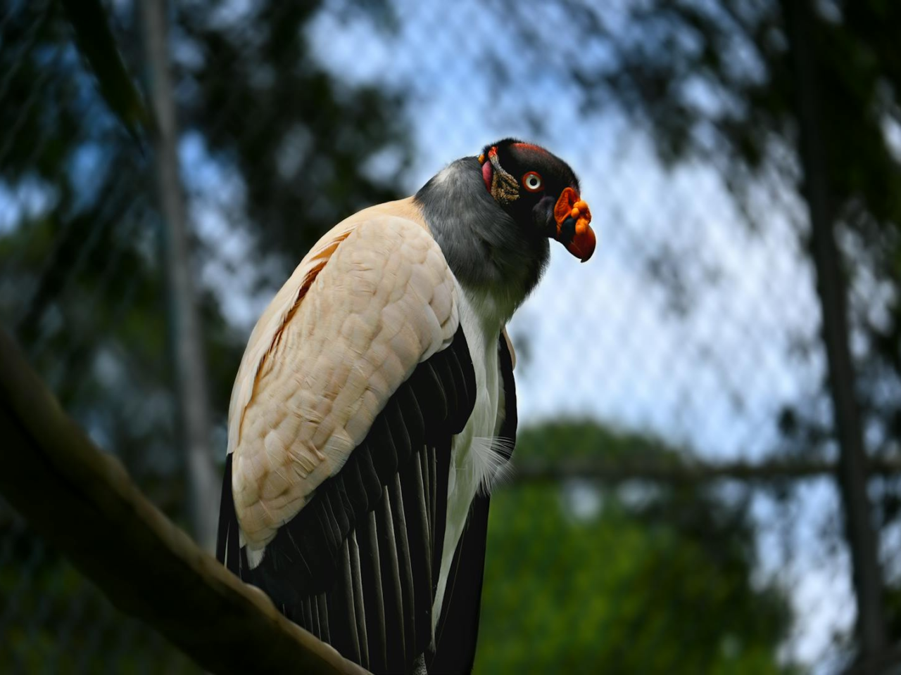 Las 13 mejores cosas que hacer en Arnhem - 2025 - TryTravel