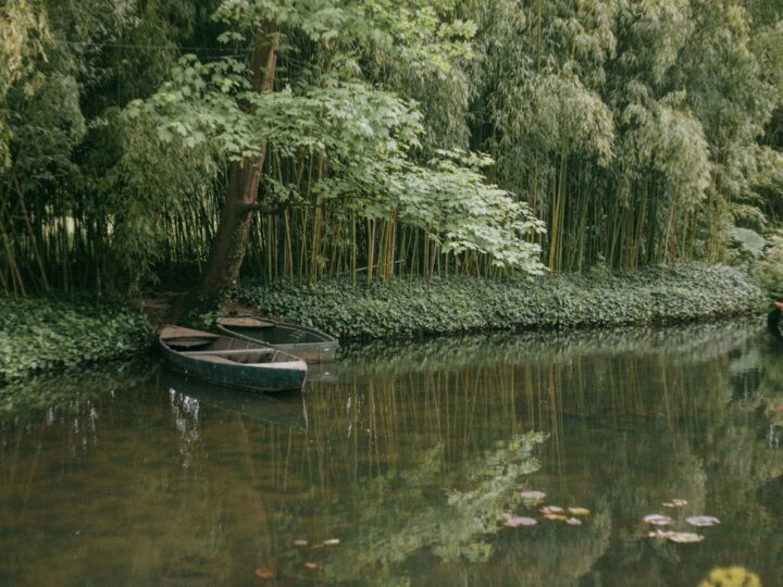 Los jardines de Cech