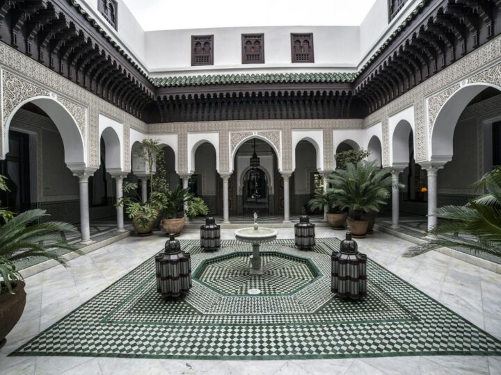 Cour des lphants Platschow