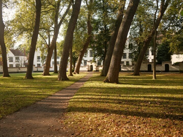 Великий Бегйнхоф Левен