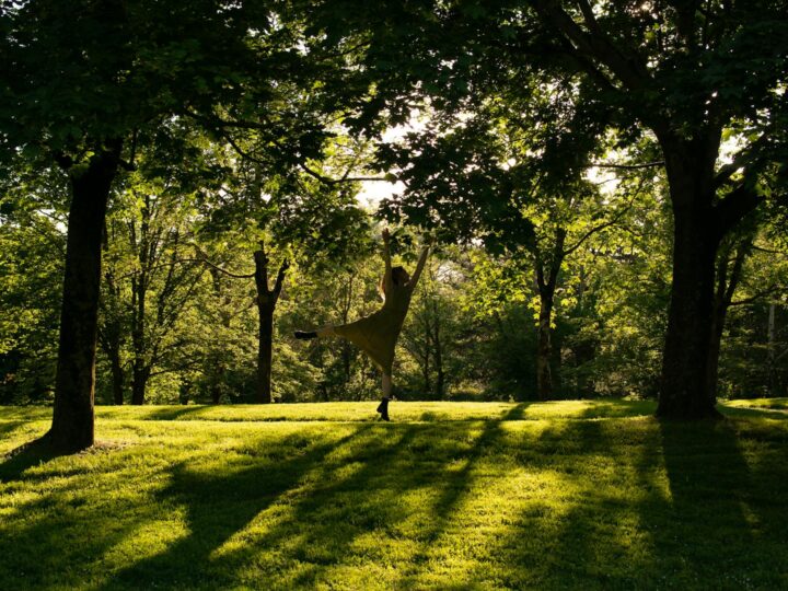 Parque Gulli Bry sur Marne
