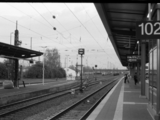 Hanau
