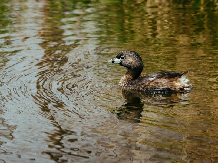 Kingsbury Water Park
