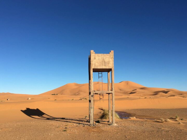 Torre de observacin de la Sahara de Lommel