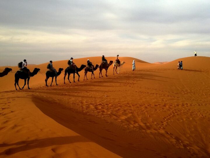 Torre de observacin de la Sahara de Lommel