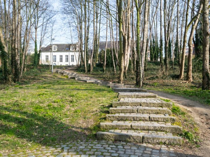 M Leuven