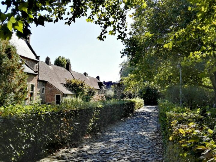 M Leuven