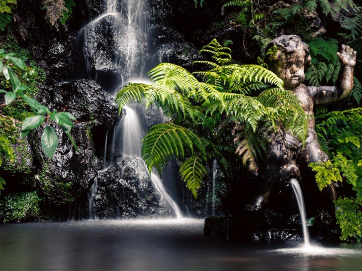 Giardino Botanico di Madeira