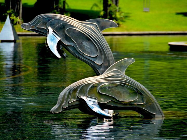 Jardins marins