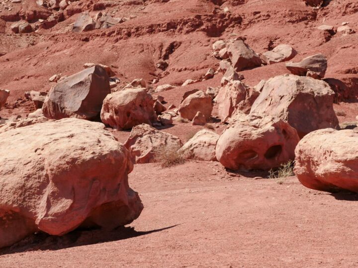Mars Fields