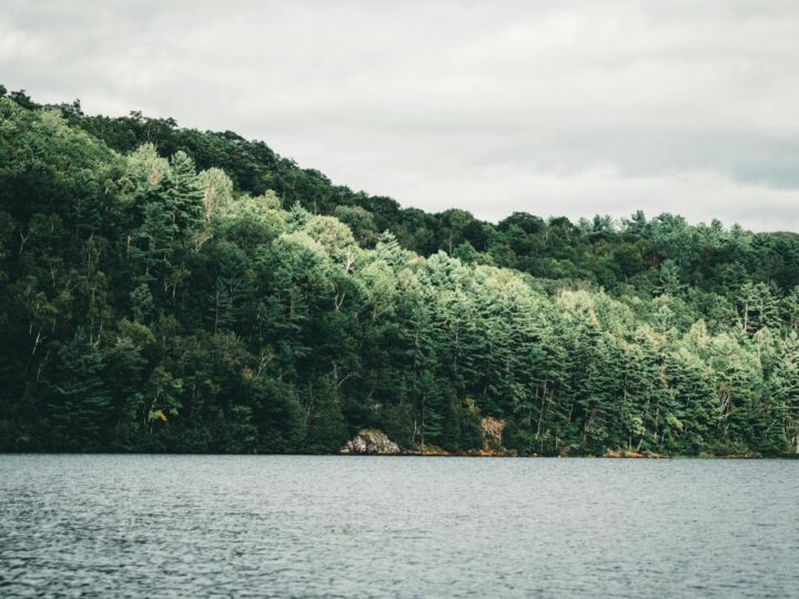 Mondegos Parc Vert