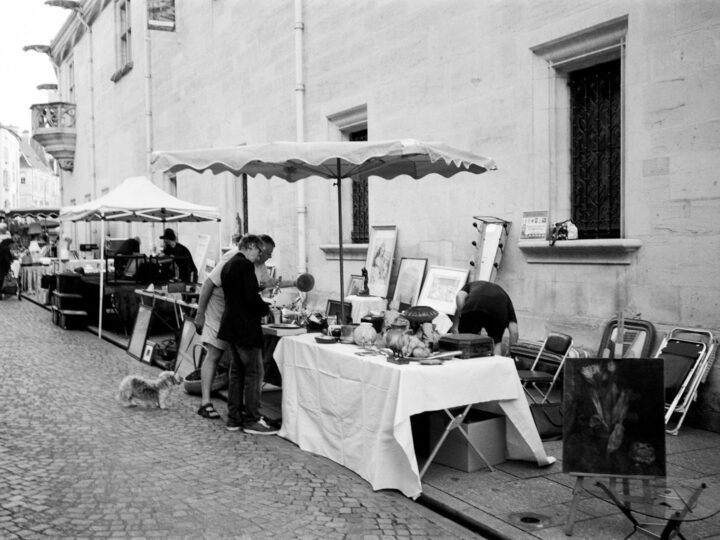 MuseuAqurio de Nancy