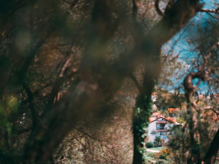 Parque de la Villa Severi