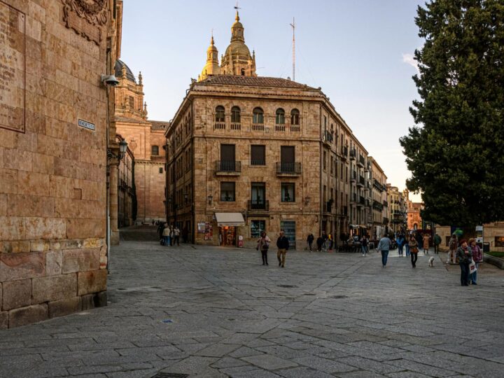 Paseo de Cnovas