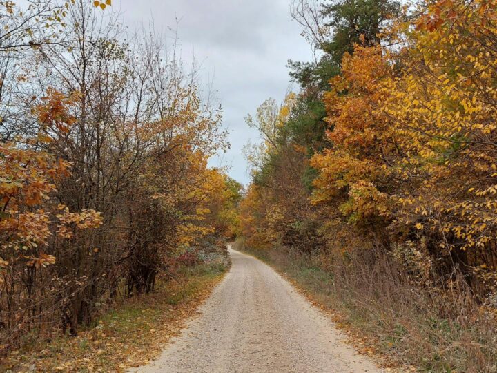 Paseo de Cnovas