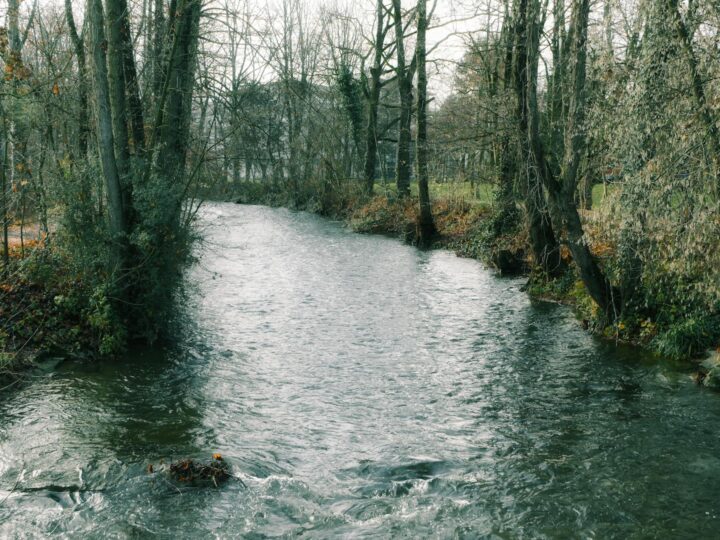 Regionalny park Scheutbospark